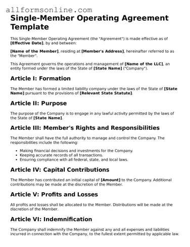 Blank Single-Member Operating Agreement Form